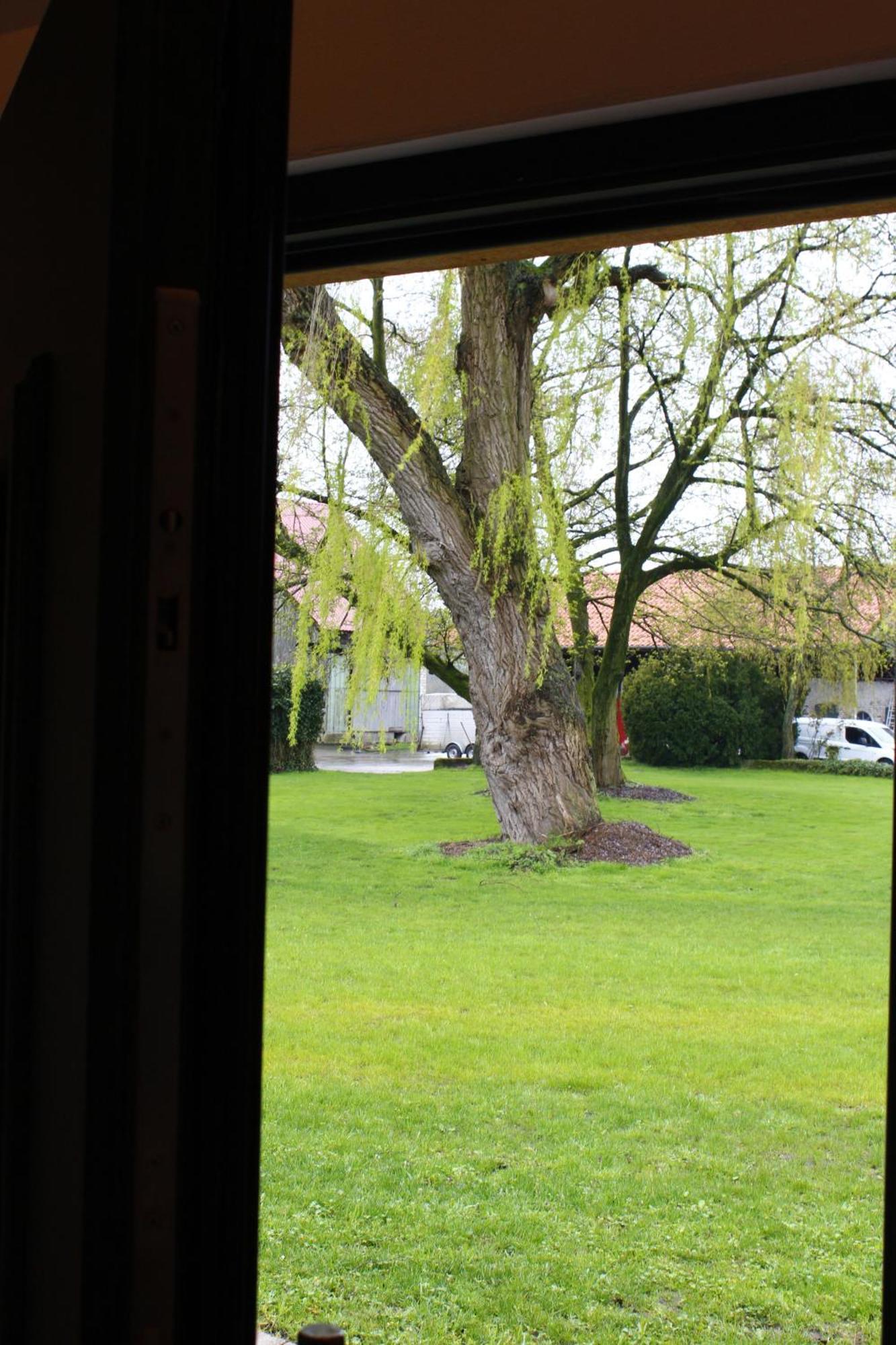Weitblick - Ruhepol In Muensterlaender Parklandschaft Apartment Dülmen Exterior foto
